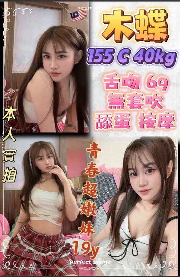 新北約砲-木蝶 新北約砲-木蝶