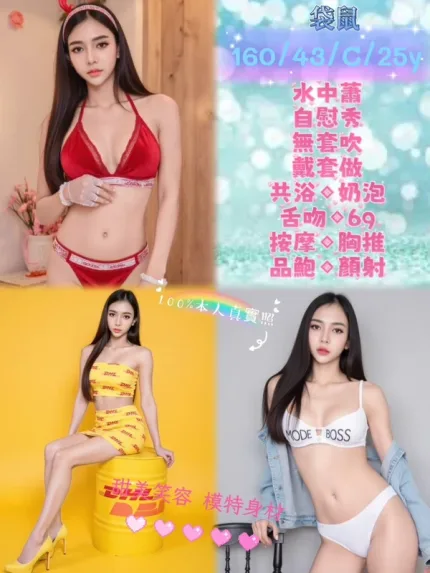 新北約砲-袋鼠