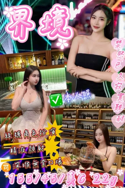 桃園約砲-界境