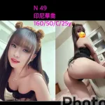 嘉義約砲-N49