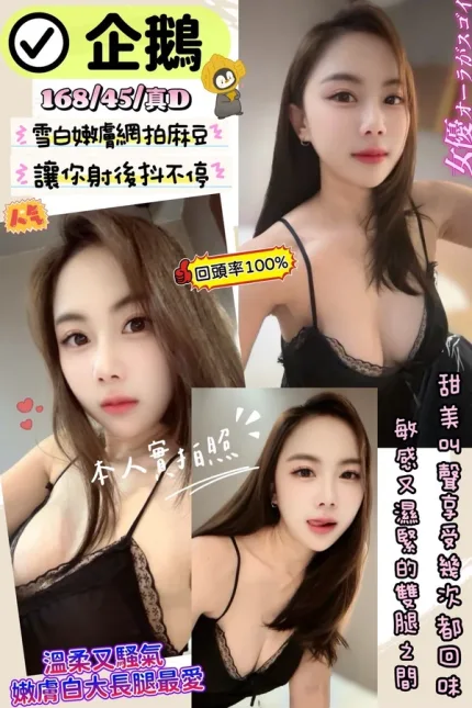 新竹約砲-企鵝