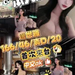 台中外送茶-邊世雅