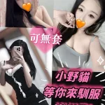 雲林約砲-小野貓