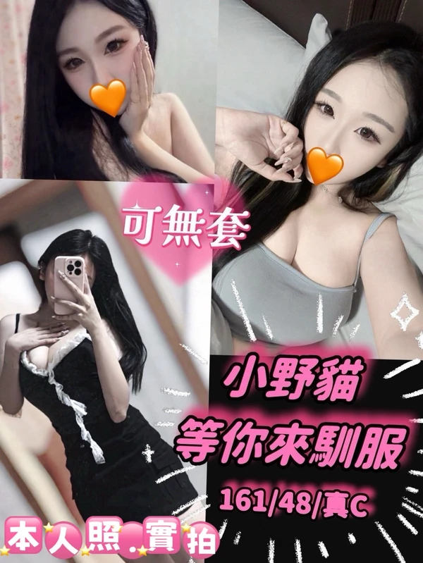 雲林約砲-小野貓 雲林約砲-小野貓