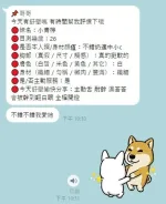 南投約砲-小青檸