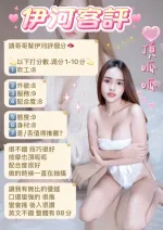 新北約砲-伊河