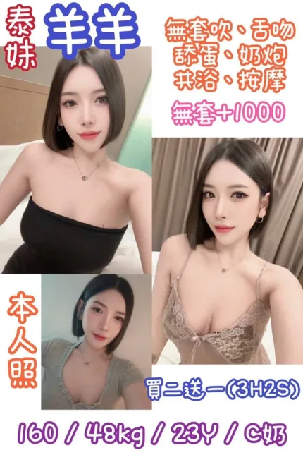 台北約砲-羊羊