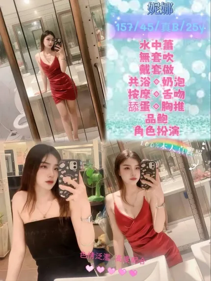 新北約砲-妮娜