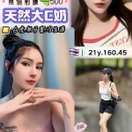 桃園約砲-勿忘我
