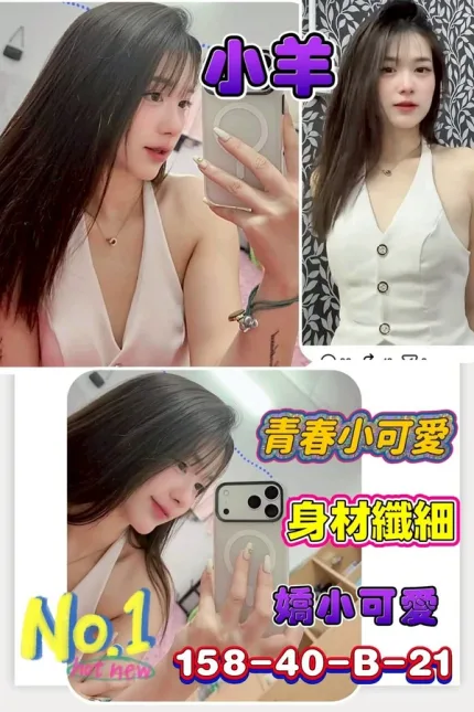 台南約砲-小羊