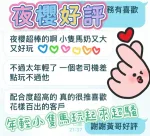 台中約砲-夜櫻