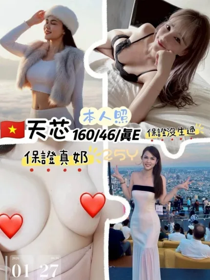 桃園約砲-天芯