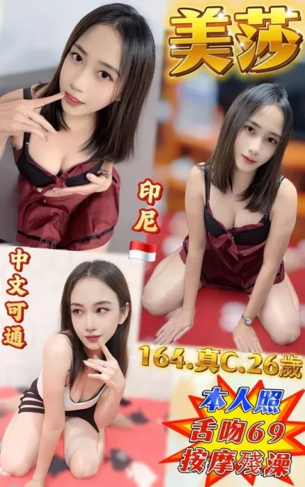 新北約砲-美莎