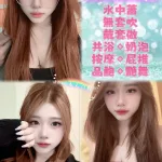 新北約砲-狐狸