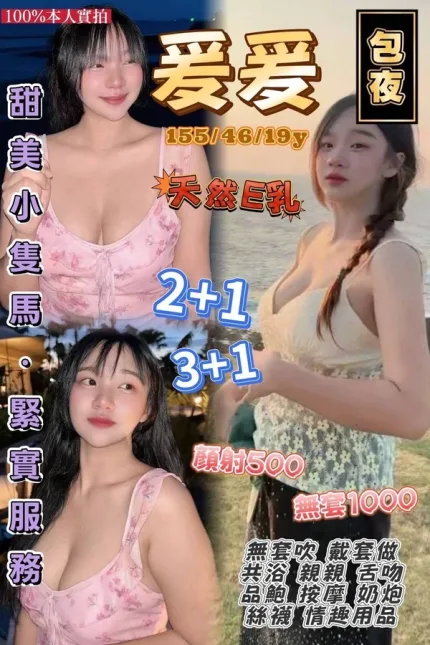 桃園約砲-爰爰