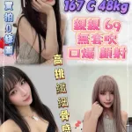 新北約砲-哈尼