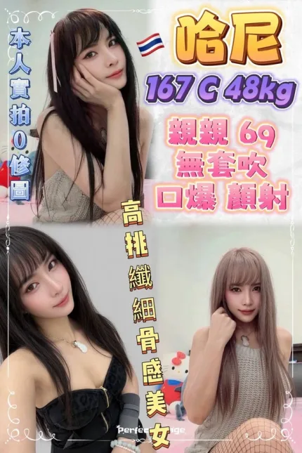 新北約砲-哈尼