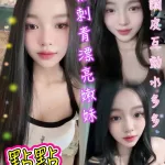 新北約砲-點點